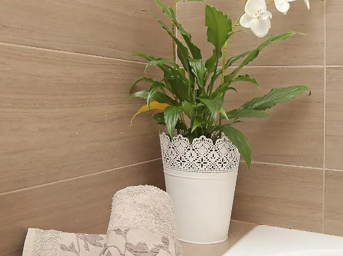 Moretic Апартаменты Gromaca